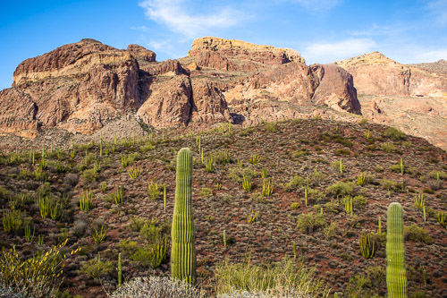 HJRW_20160419_DSC7161.jpg HJRW_20160419_DSC7161.jpg