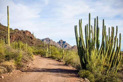 HJRW_20160419_DSC7163.jpg HJRW_20160419_DSC7163.jpg