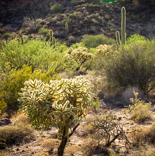 HJRW_20160419_DSC7166.jpg HJRW_20160419_DSC7166.jpg