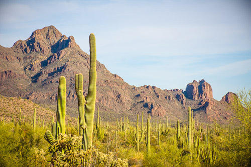 HJRW_20160419_DSC7172.jpg HJRW_20160419_DSC7172.jpg