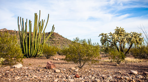 HJRW_20160419_DSC7173.jpg HJRW_20160419_DSC7173.jpg