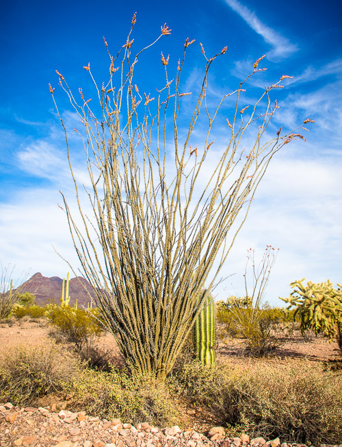 HJRW_20160419_DSC7174.jpg HJRW_20160419_DSC7174.jpg