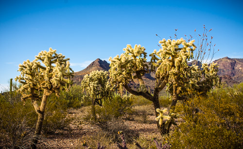 HJRW_20160419_DSC7175.jpg HJRW_20160419_DSC7175.jpg