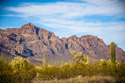 HJRW_20160419_DSC7176.jpg HJRW_20160419_DSC7176.jpg