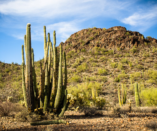 HJRW_20160419_DSC7178.jpg HJRW_20160419_DSC7178.jpg