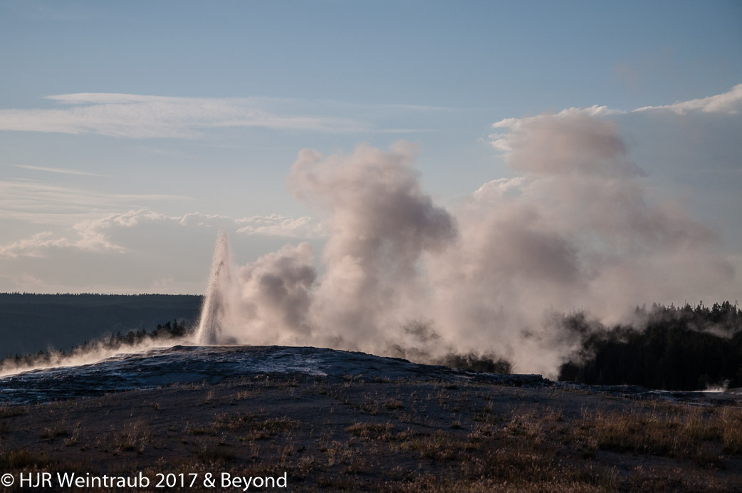 DSC_6712.jpg
