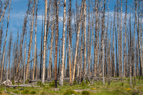 DSC_6453.jpg DSC_6453.jpg