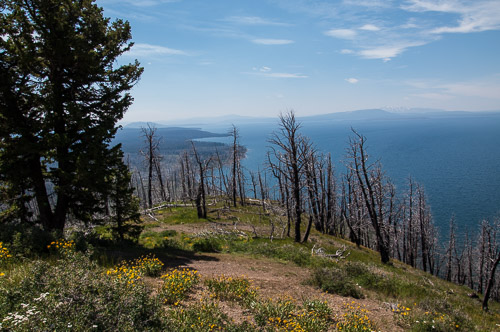 DSC_6459.jpg DSC_6459.jpg