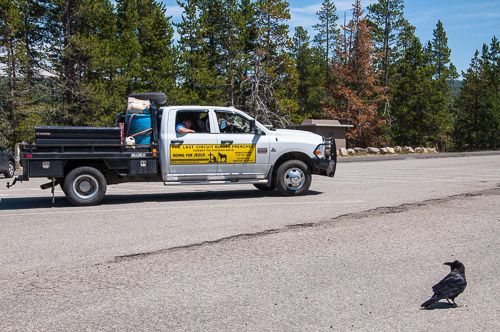 DSC_6490.jpg DSC_6490.jpg