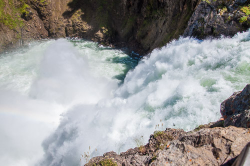 DSC_6524.jpg DSC_6524.jpg