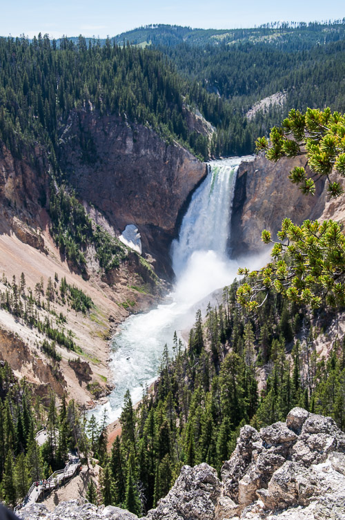 DSC_6542.jpg DSC_6542.jpg