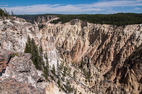 DSC_6545.jpg DSC_6545.jpg