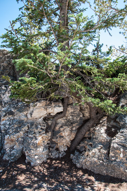 DSC_6563.jpg DSC_6563.jpg