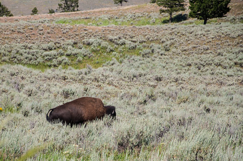 DSC_6621.jpg DSC_6621.jpg