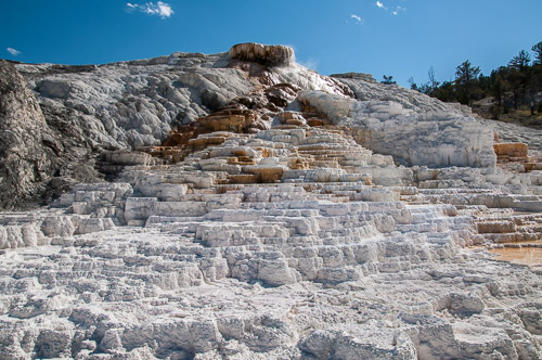 DSC_6631.jpg DSC_6631.jpg