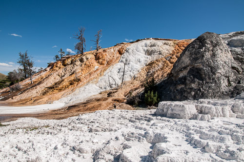 DSC_6644.jpg DSC_6644.jpg