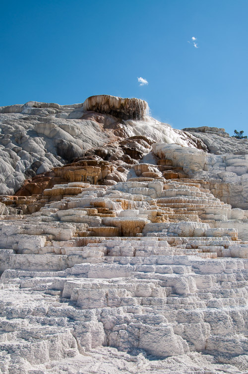 DSC_6646.jpg DSC_6646.jpg