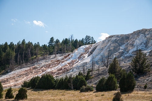 DSC_6648.jpg DSC_6648.jpg