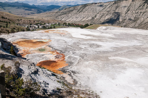 DSC_6650.jpg DSC_6650.jpg