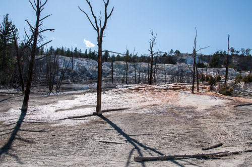 DSC_6657.jpg DSC_6657.jpg