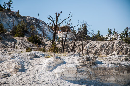 DSC_6658.jpg DSC_6658.jpg