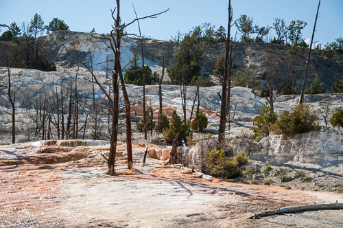 DSC_6659.jpg DSC_6659.jpg