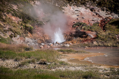 DSC_6661.jpg DSC_6661.jpg