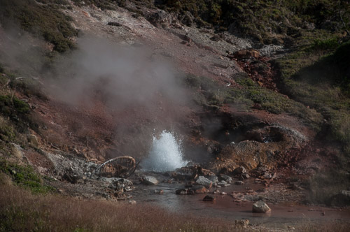 DSC_6665.jpg DSC_6665.jpg