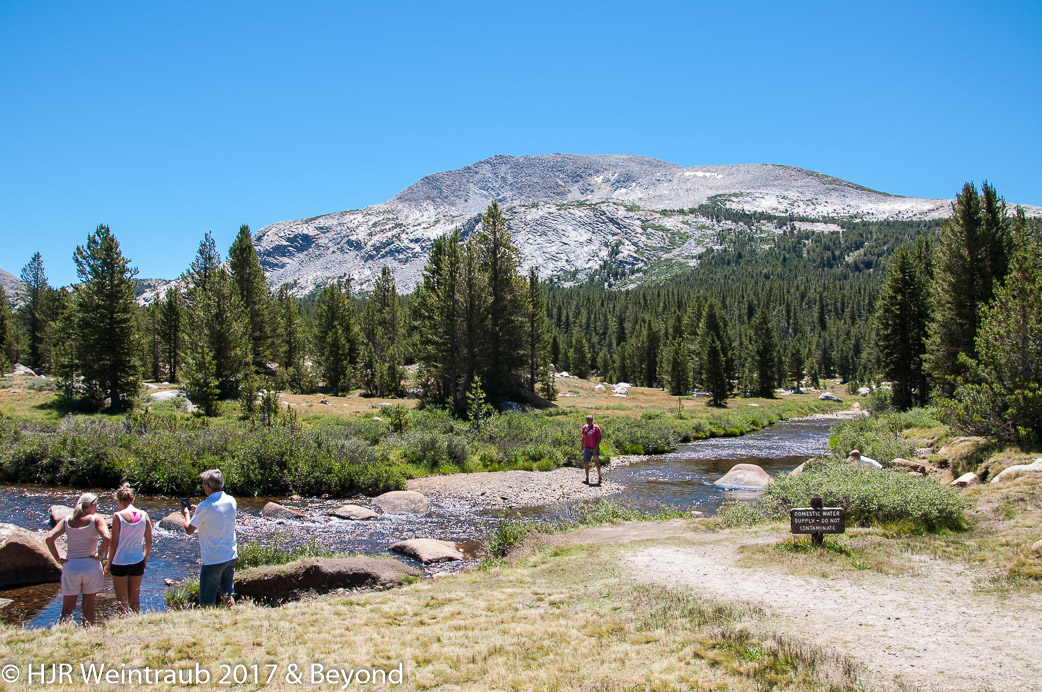 DSC_7297.jpg