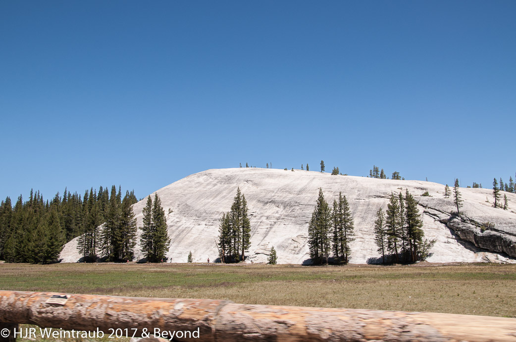DSC_7302.jpg