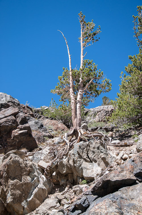 DSC_7295.jpg DSC_7295.jpg