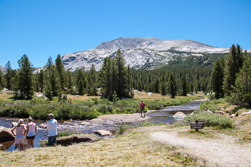 DSC_7297.jpg DSC_7297.jpg