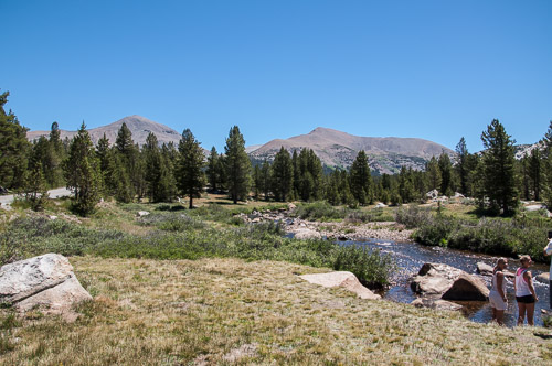 DSC_7298.jpg DSC_7298.jpg