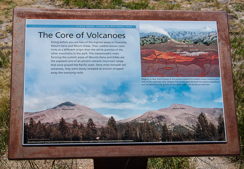 DSC_7299.jpg DSC_7299.jpg