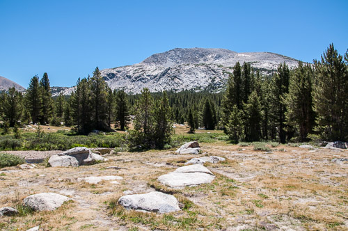 DSC_7300.jpg DSC_7300.jpg