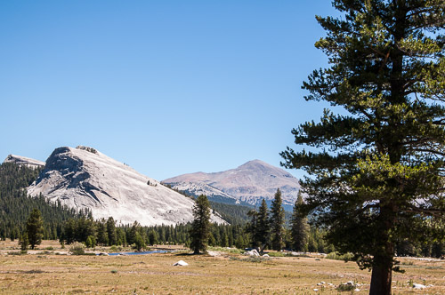 DSC_7301.jpg DSC_7301.jpg