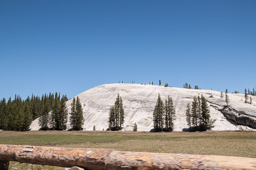 DSC_7302.jpg DSC_7302.jpg