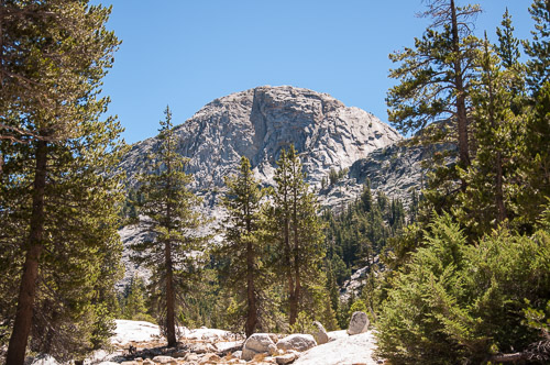 DSC_7305.jpg DSC_7305.jpg