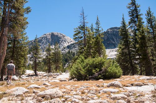 DSC_7307.jpg DSC_7307.jpg