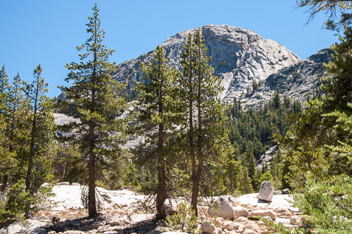 DSC_7308.jpg DSC_7308.jpg