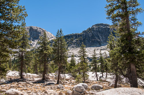 DSC_7309.jpg DSC_7309.jpg