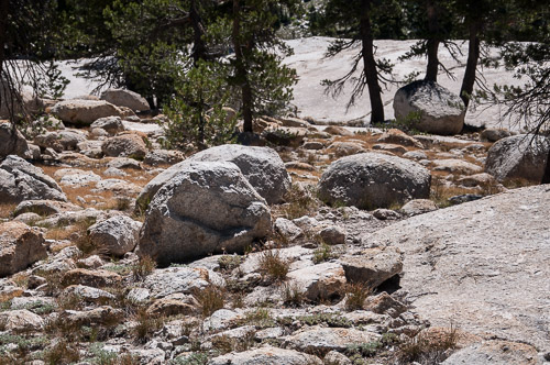 DSC_7310.jpg DSC_7310.jpg