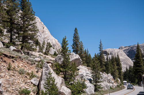 DSC_7315.jpg DSC_7315.jpg