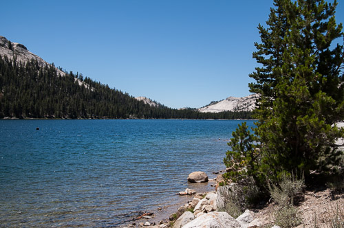 DSC_7317.jpg DSC_7317.jpg