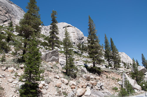 DSC_7319.jpg DSC_7319.jpg