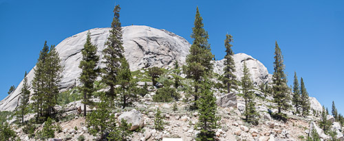 DSC_7321-3.jpg DSC_7321-3.jpg