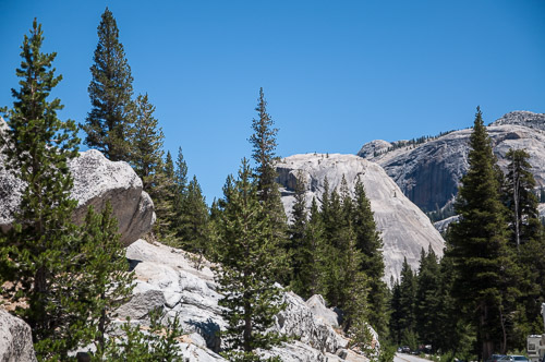 DSC_7324.jpg DSC_7324.jpg