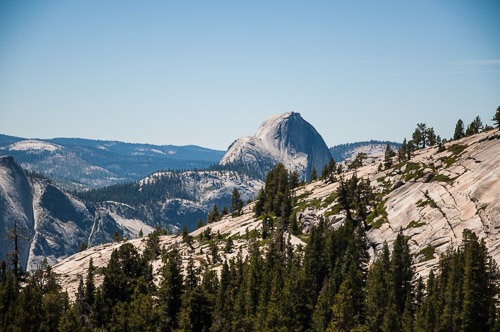 DSC_7326.jpg DSC_7326.jpg