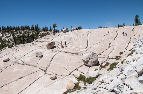 DSC_7327.jpg DSC_7327.jpg