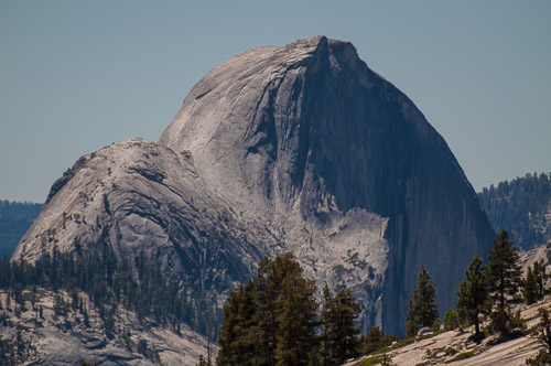 DSC_7329.jpg DSC_7329.jpg